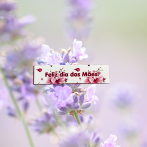 ARQUIVO CAIXINHA DE BATOM - DIA DAS MÃES FLORES